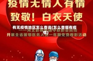 有无疫情地区怎么查询(怎么查哪有疫情)