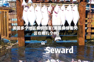 美国多个地区疫情爆发(美国疫情重灾区在哪几个州)