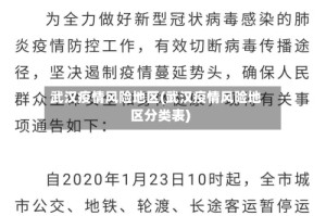 武汉疫情风险地区(武汉疫情风险地区分类表)