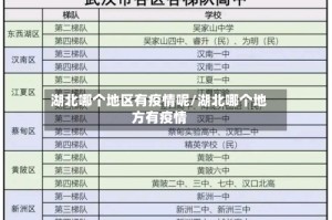 湖北哪个地区有疫情呢/湖北哪个地方有疫情