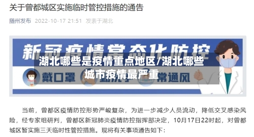 湖北哪些是疫情重点地区/湖北哪些城市疫情最严重-第2张图片