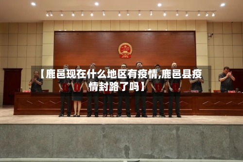 【鹿邑现在什么地区有疫情,鹿邑县疫情封路了吗】-第1张图片