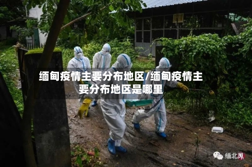 缅甸疫情主要分布地区/缅甸疫情主要分布地区是哪里-第2张图片