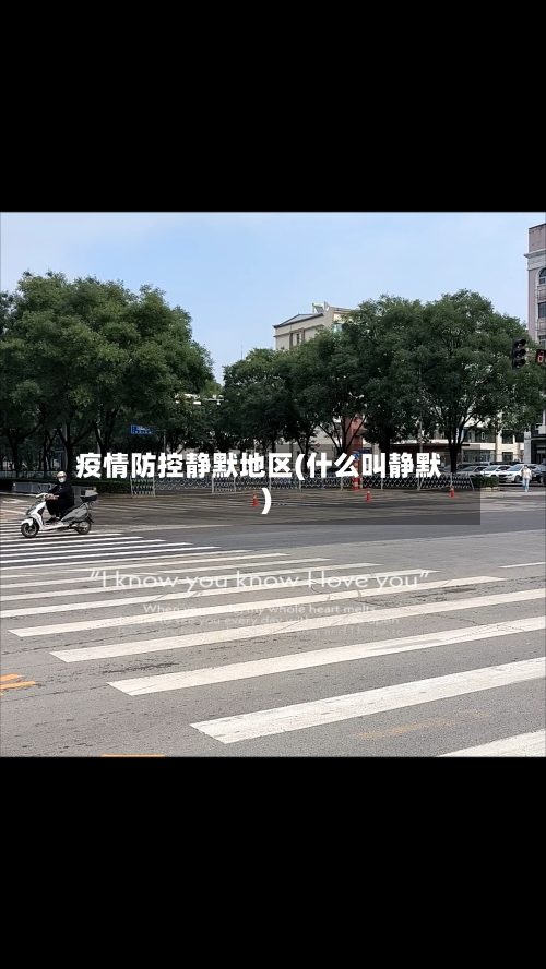 疫情防控静默地区(什么叫静默)-第2张图片